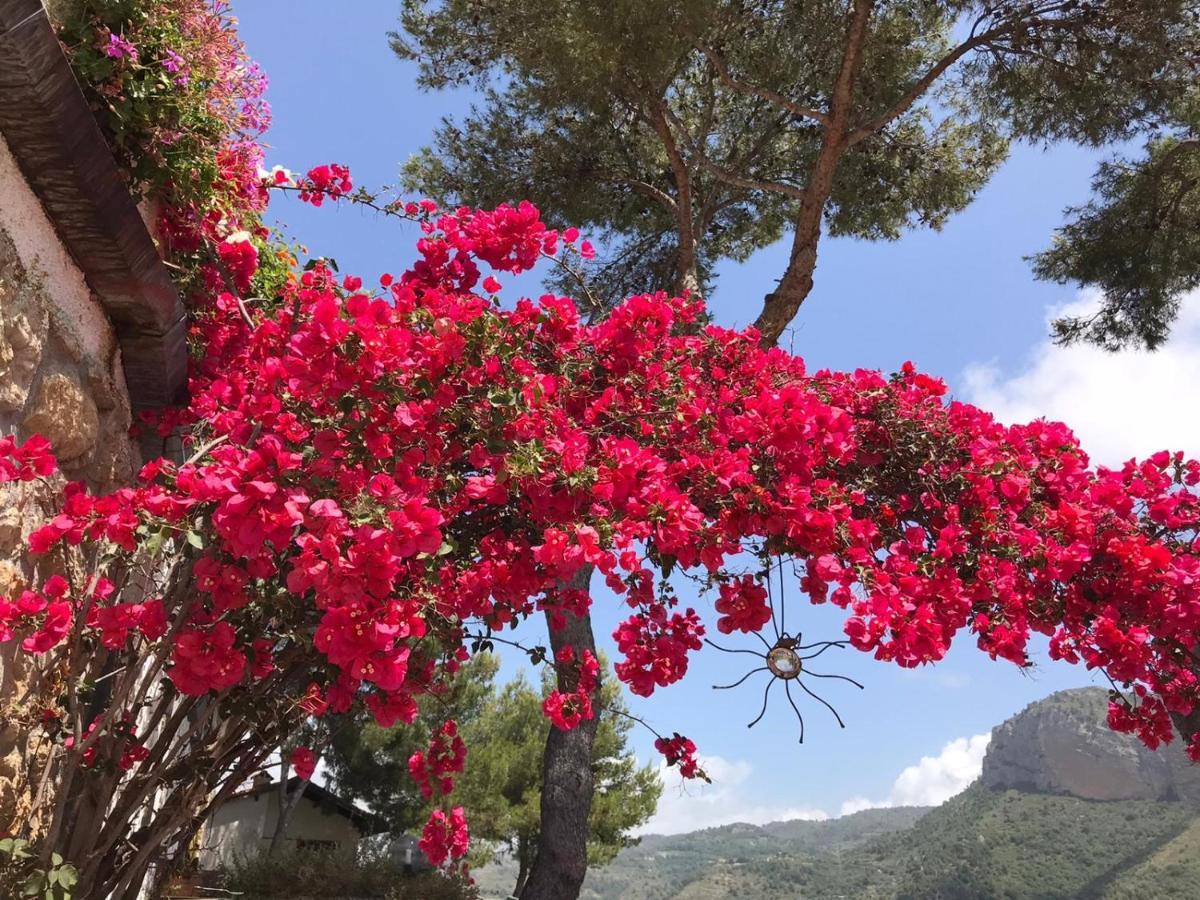 Villaggio Turistico Da Tonino Seglia San Bernardo エクステリア 写真